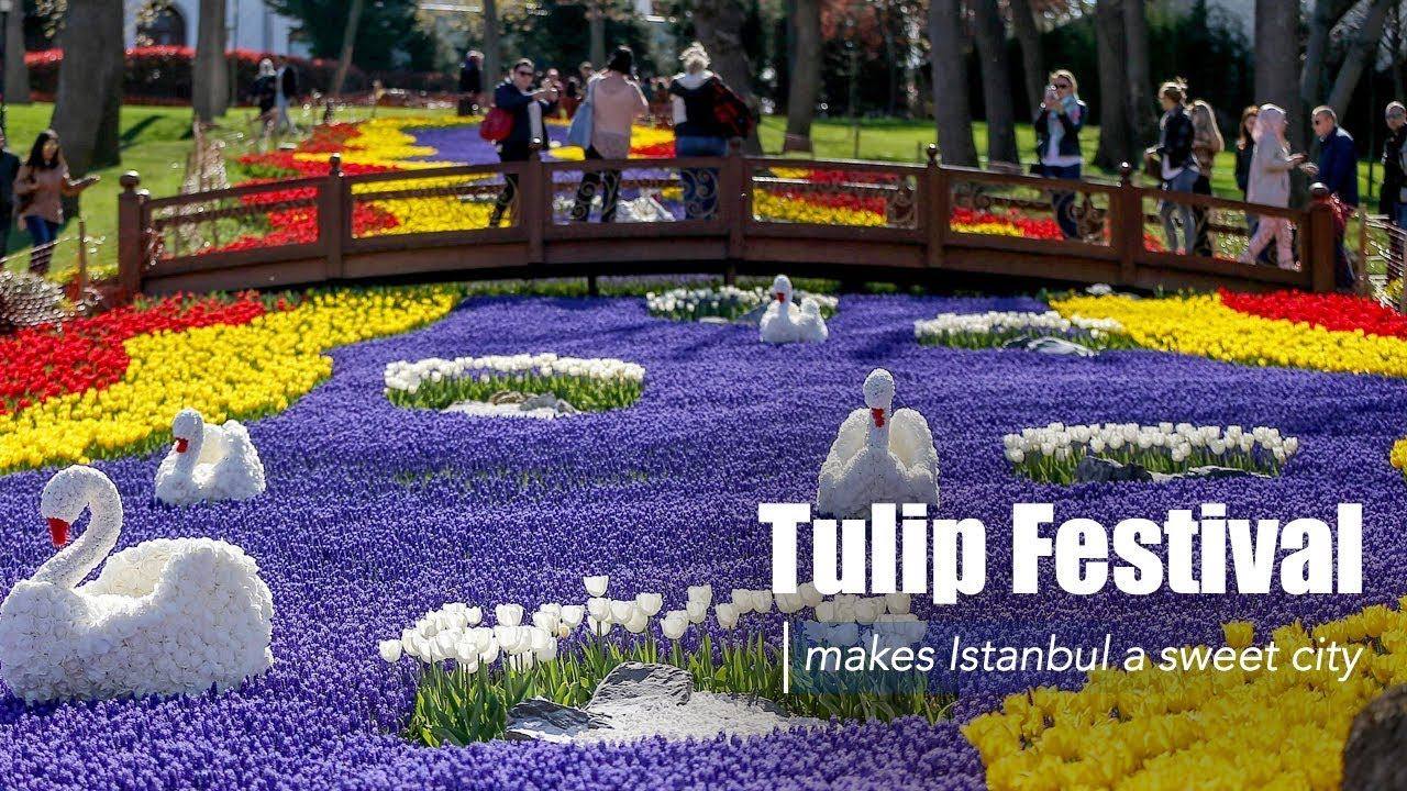 İstanbulda lale festivali sezonu başlıyor.